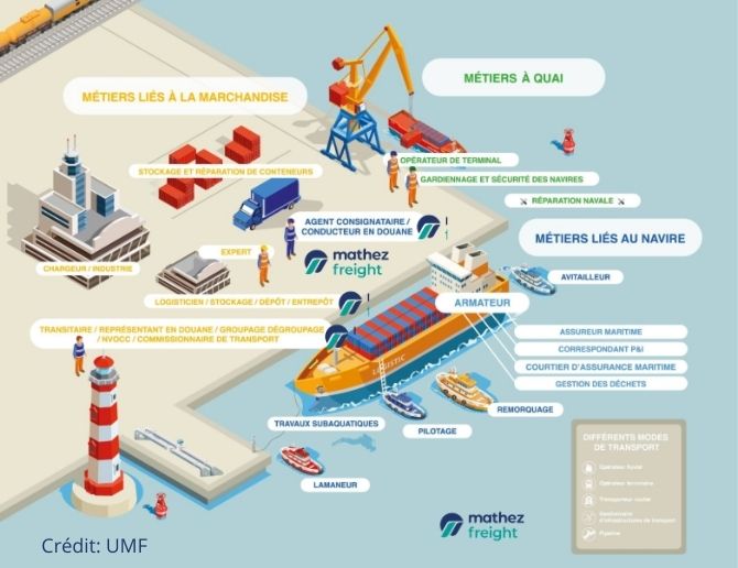 illustration-shipping