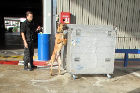 Inspection canine du service des Douanes, aéroport de Nice