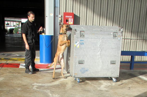Inspection canine du service des Douanes, aéroport de Nice