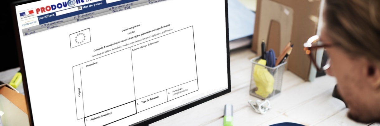 Request for special customs regime on ProDouane French digital platform