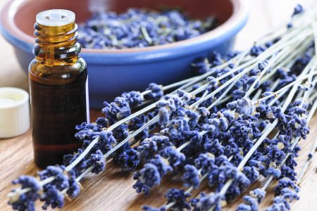 Lavender and essential oils